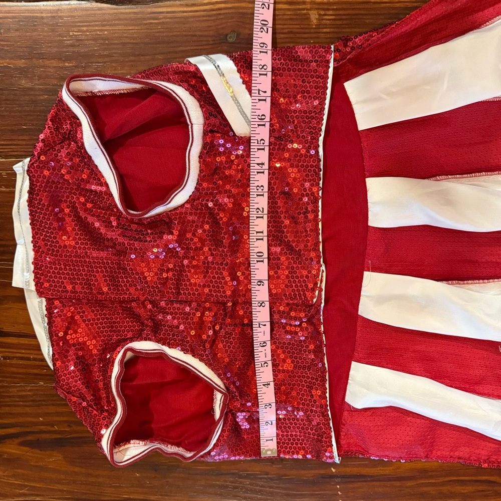 Maggie Waggy Sequin Cheerleader Dog Costume | XXL | New With Tags - Picture 9 of 10